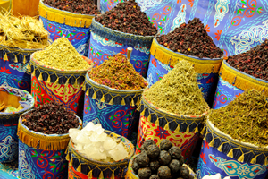 adult study abroad programs - explore markets in Egypt